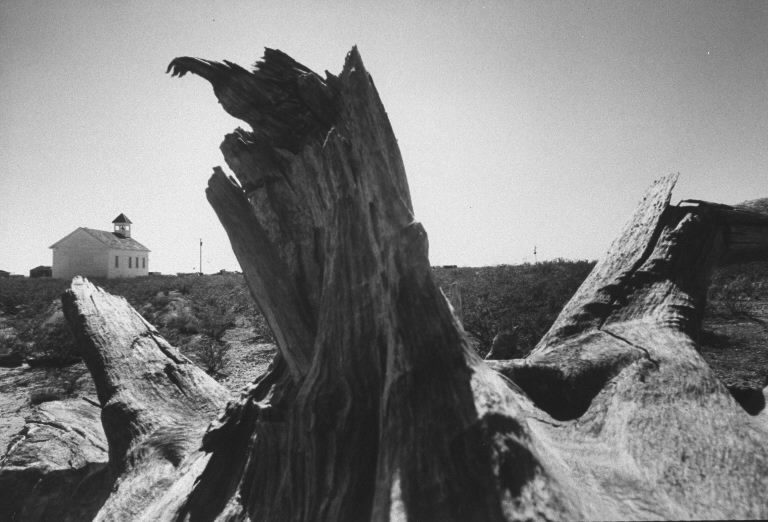 Weathered tree stump in desert near Mentone, Texas. (Photo by Vernon Merritt/The LIFE Picture Collection © Meredith Corporation)