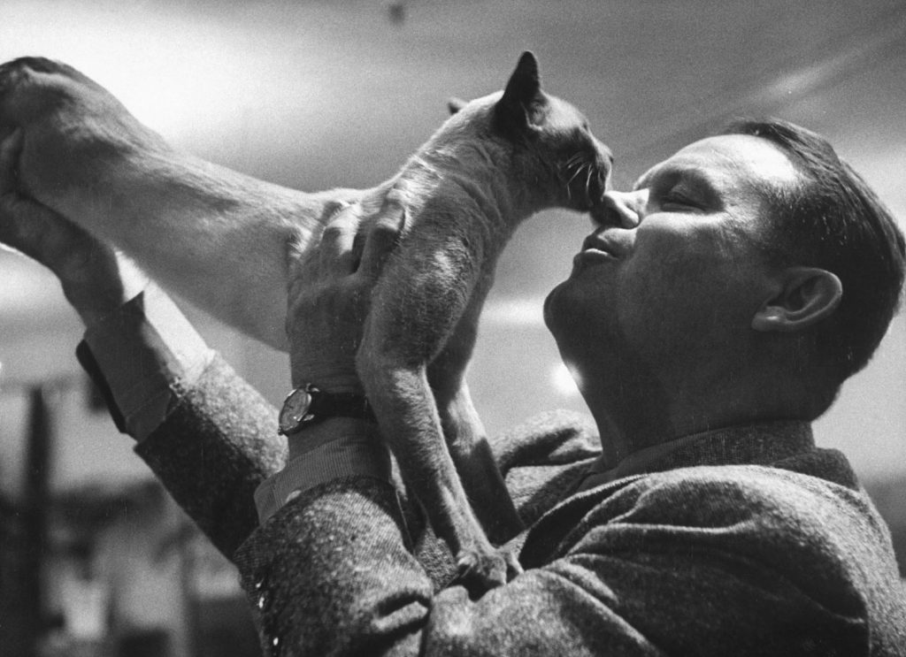 Cat show, Los Angeles, Calif., 1952.