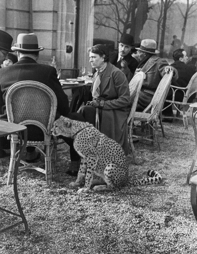 Woman sitting with her pet cheetah having tea at a Bois de Boulogne cafe, Paris, 1963.