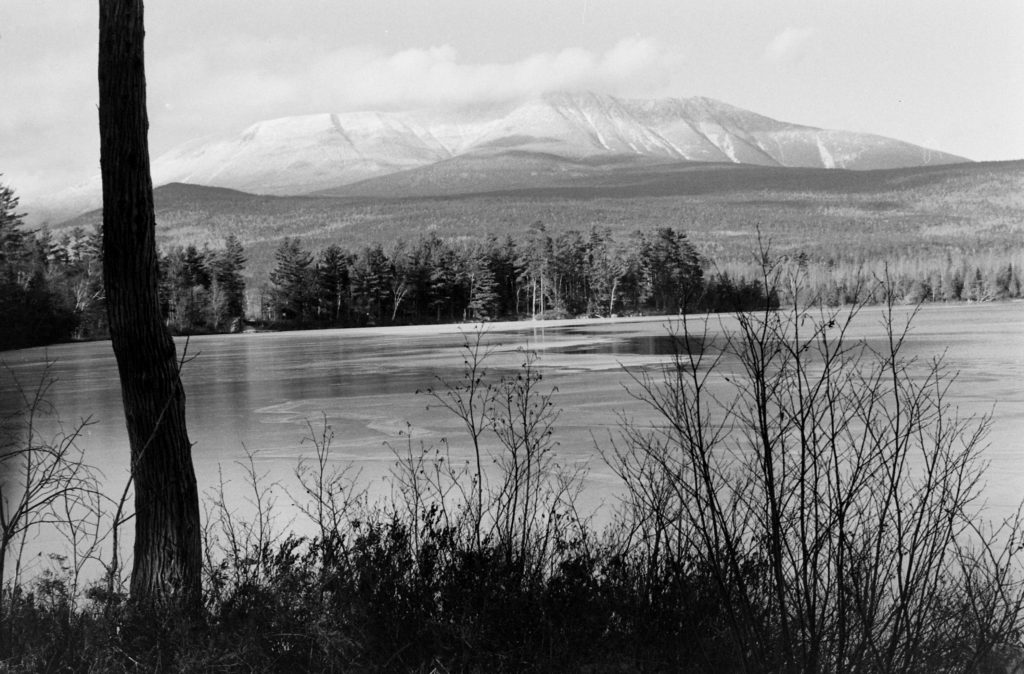 Caribou in Maine