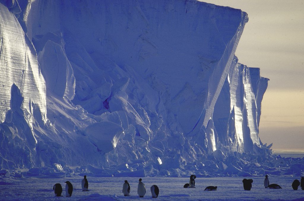 Antarctica, 1964.