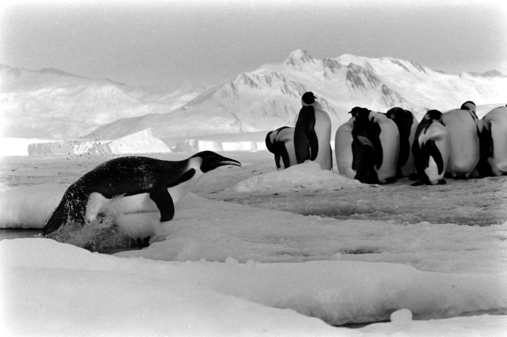 Antarctica, 1964.