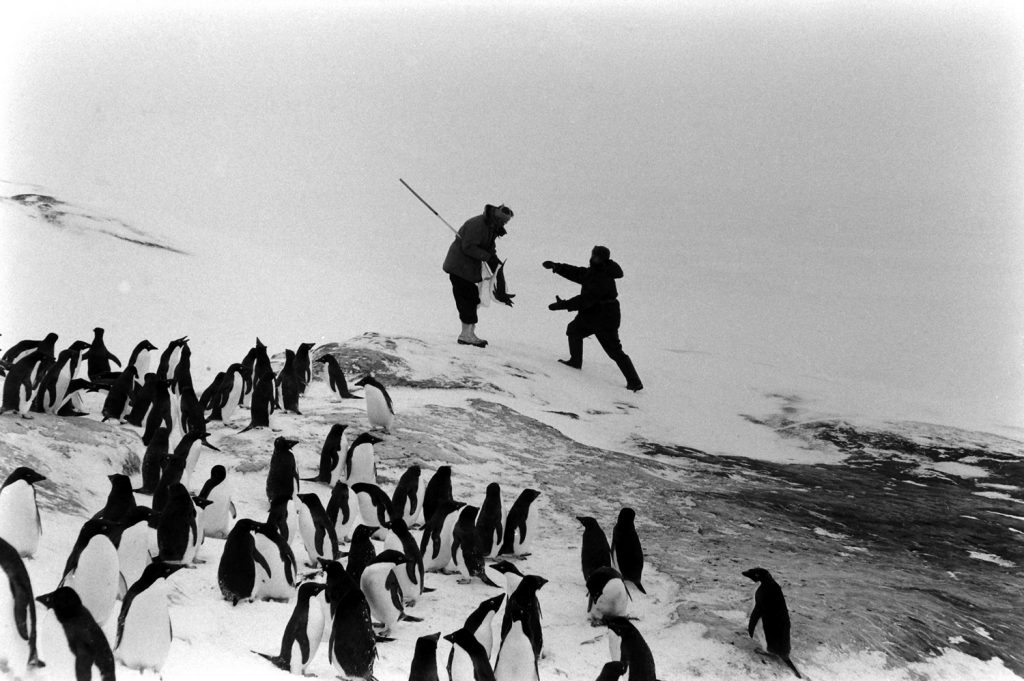 Antarctica, 1964.