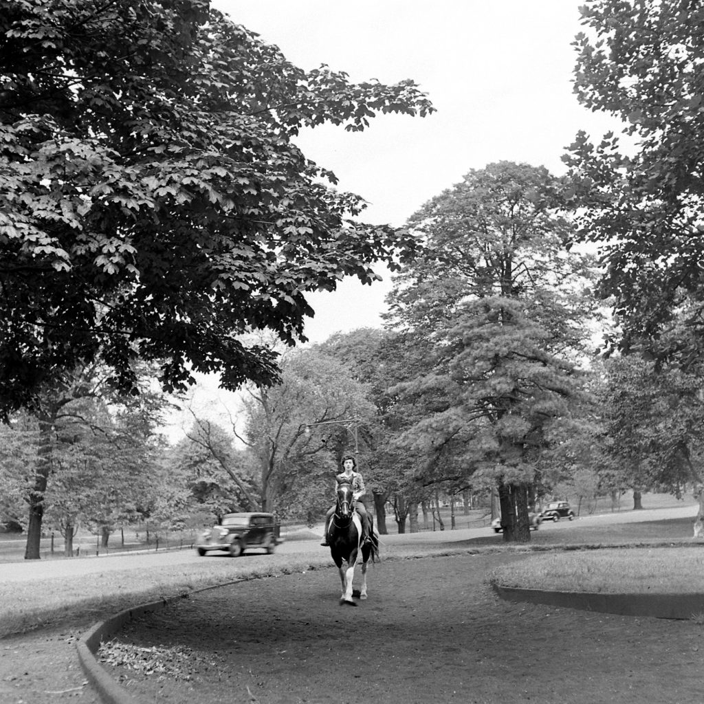 Prospect Park, Brooklyn, 1946.