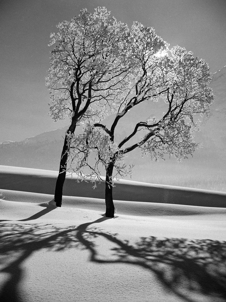 Switzerland, 1947.