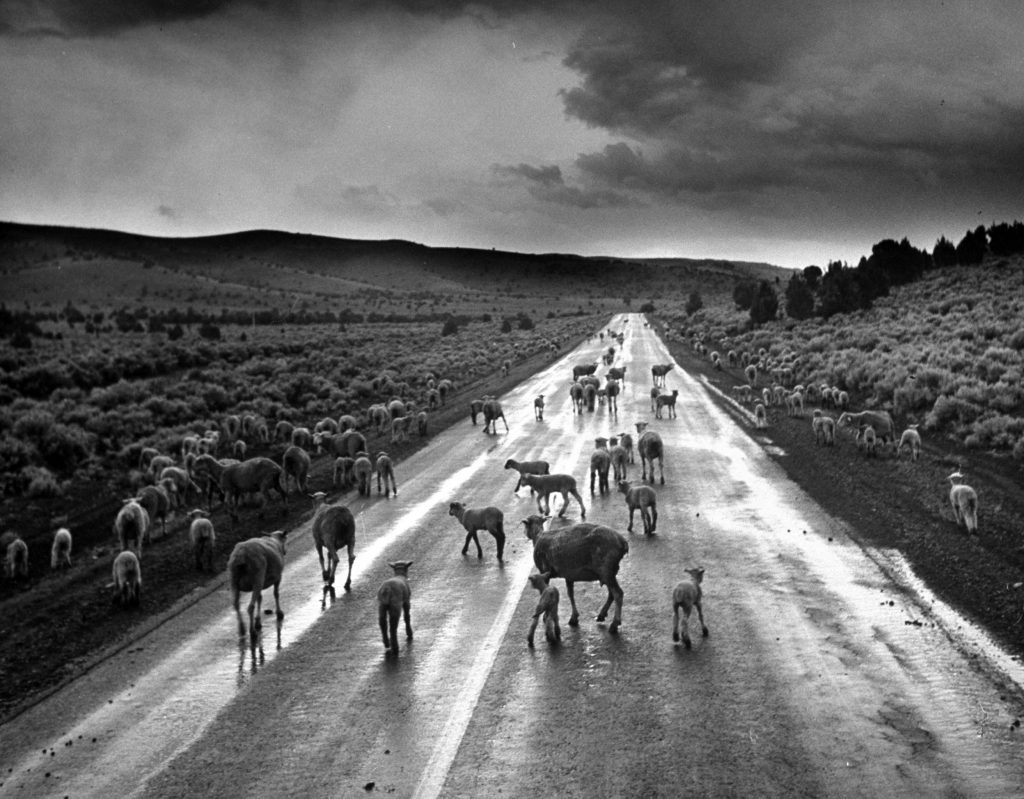 Utah Desert, 1947