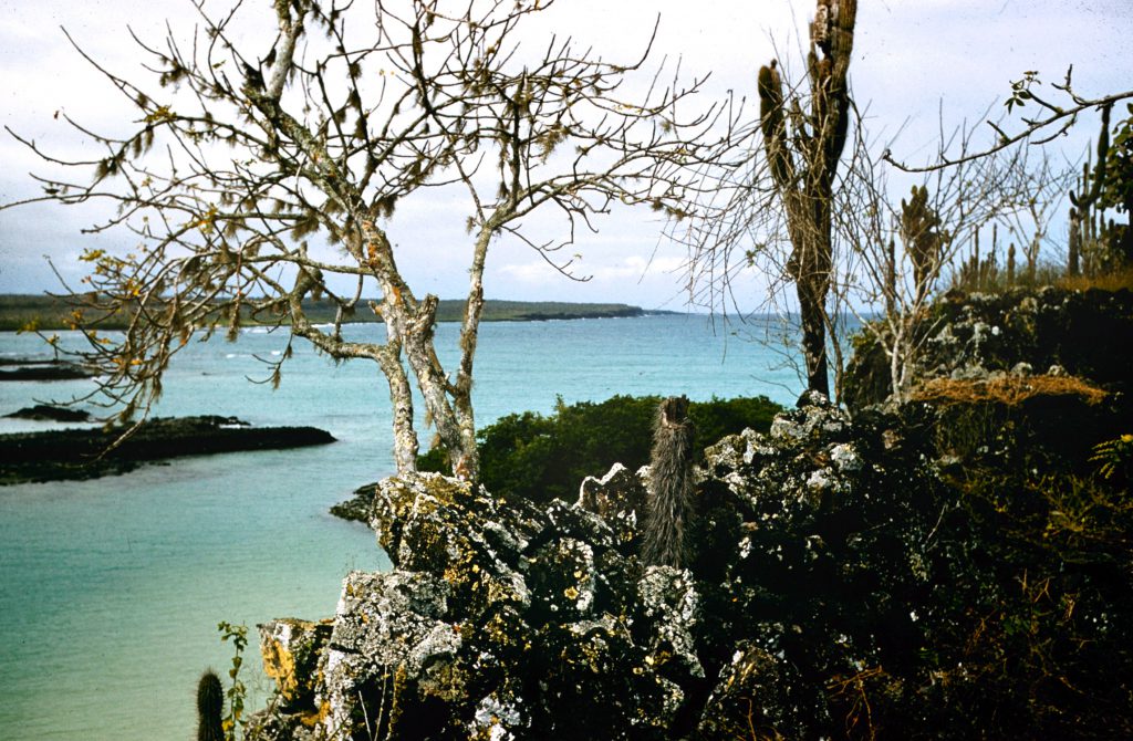 Galapogos Islands 1957Galapagos Islands 1957