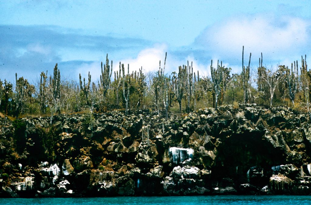 Galapagos Islands 1957