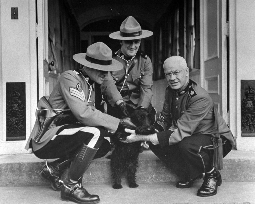 Fala and mounties posing for the camera in Quebec, Canada, 1943.