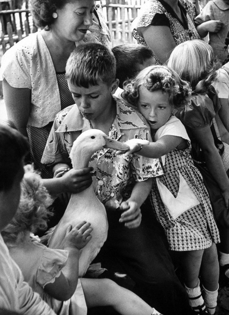 Duck's long neck provides nice handhold for boy as other children tackle other areas.