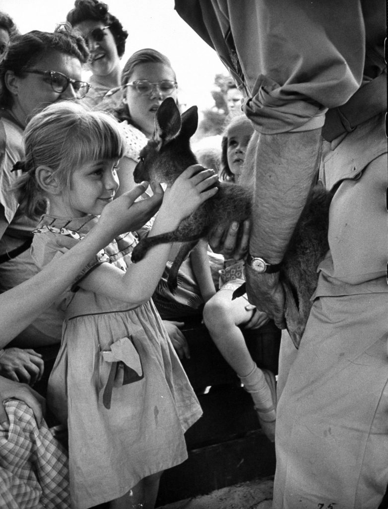 Children lovingly assault a baby kangaroo by grabbing her neck and tickling her chin.