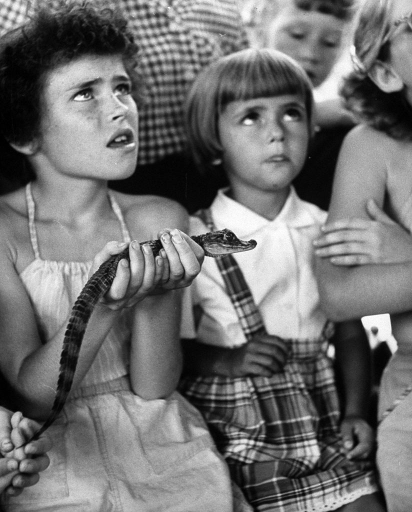 Children visiting at Brookfield Children's Zoo. Chicago, 1953.