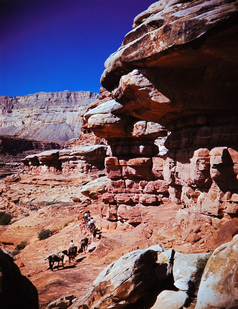 Grand Canyon National Park in color, 1947.