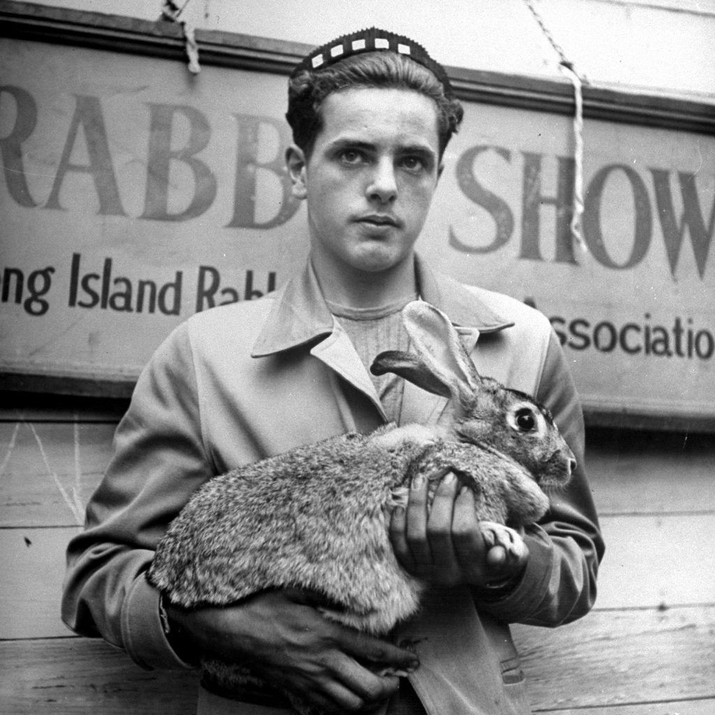 Long Island Rabbit Breeders Association Rabbit show, circa 1943.