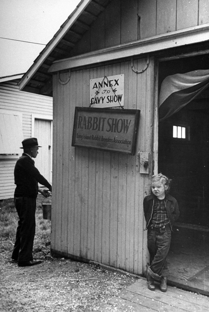 Long Island Rabbit Breeders Association Rabbit show, circa 1943.