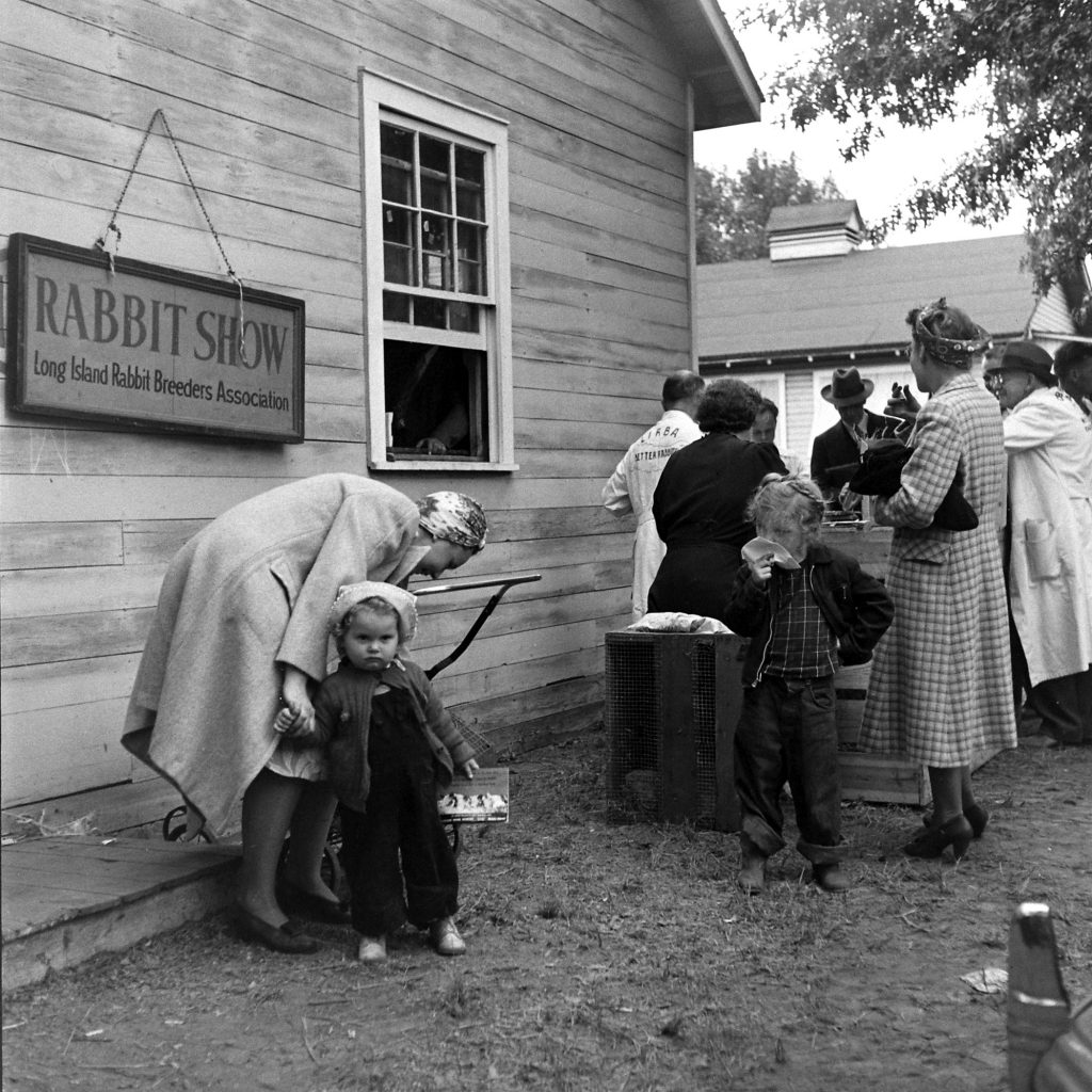 Long Island Rabbit Breeders Association Rabbit show, circa 1943.