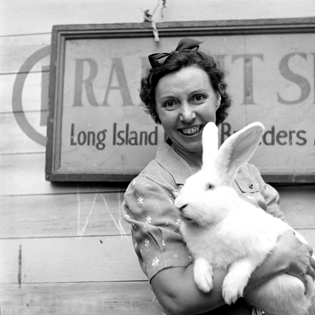 Long Island Rabbit Breeders Association Rabbit show, circa 1943.