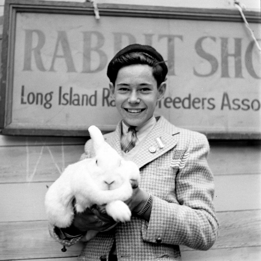 Long Island Rabbit Breeders Association Rabbit show, circa 1943.