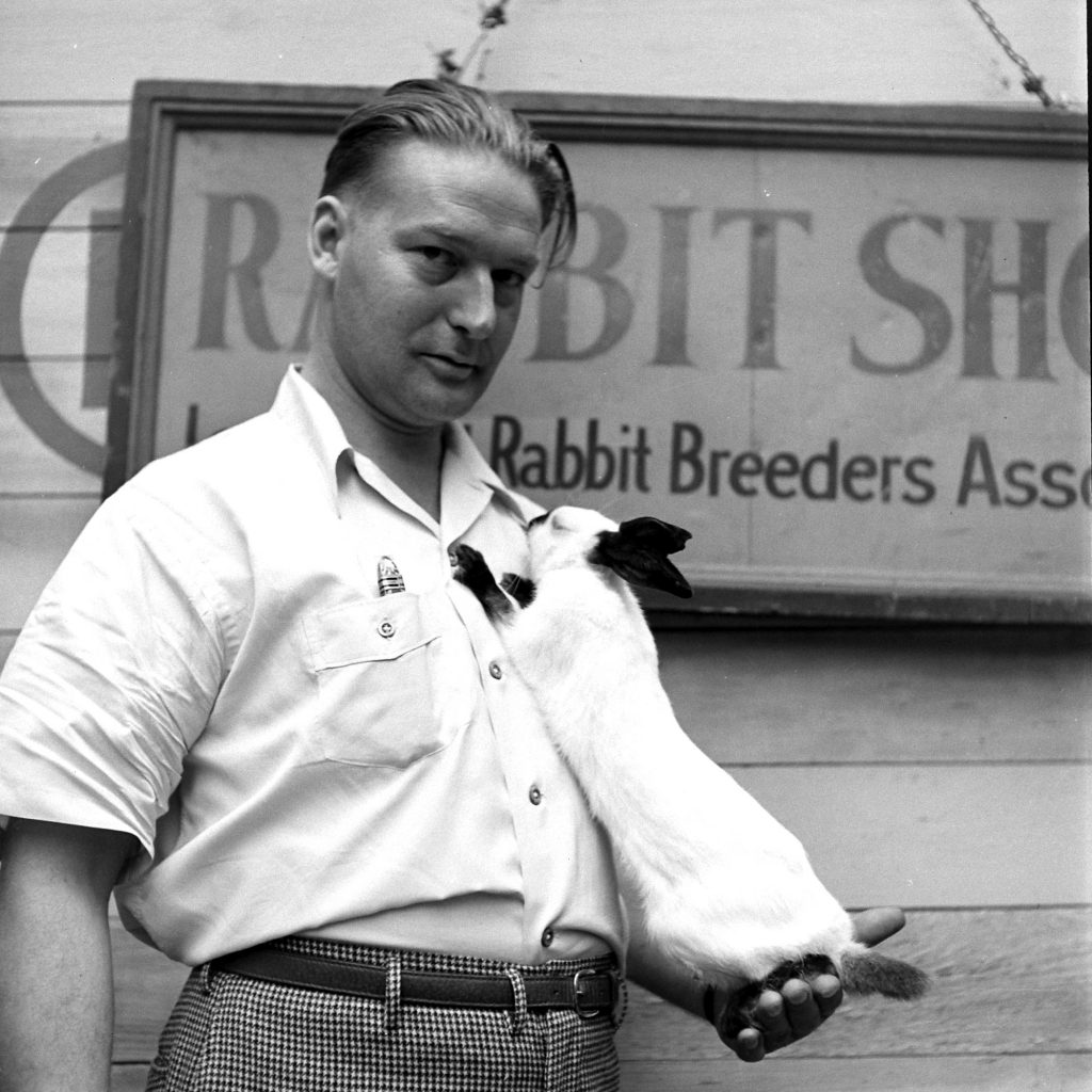 Long Island Rabbit Breeders Association Rabbit show, circa 1943.