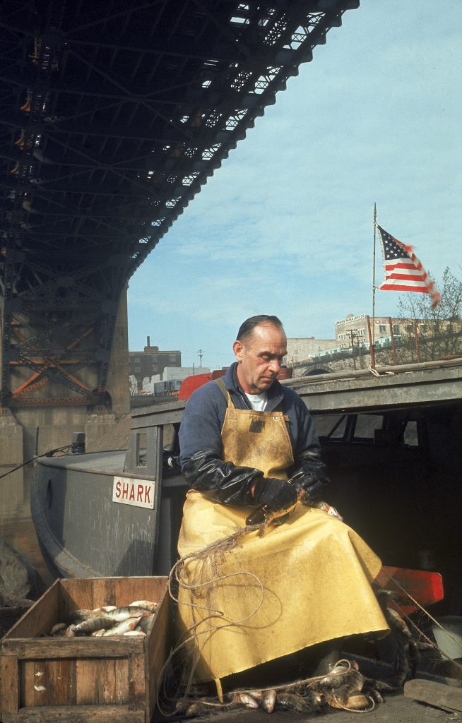 Color photos of pollution in the Great Lakes in 1968.