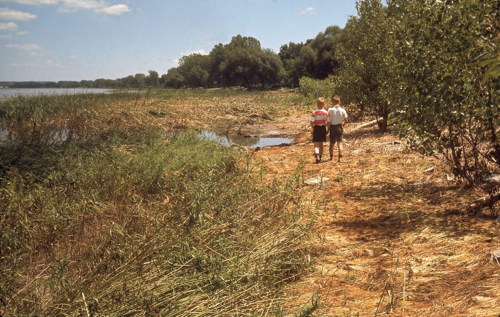 Color photos of pollution in the Great Lakes in 1968.