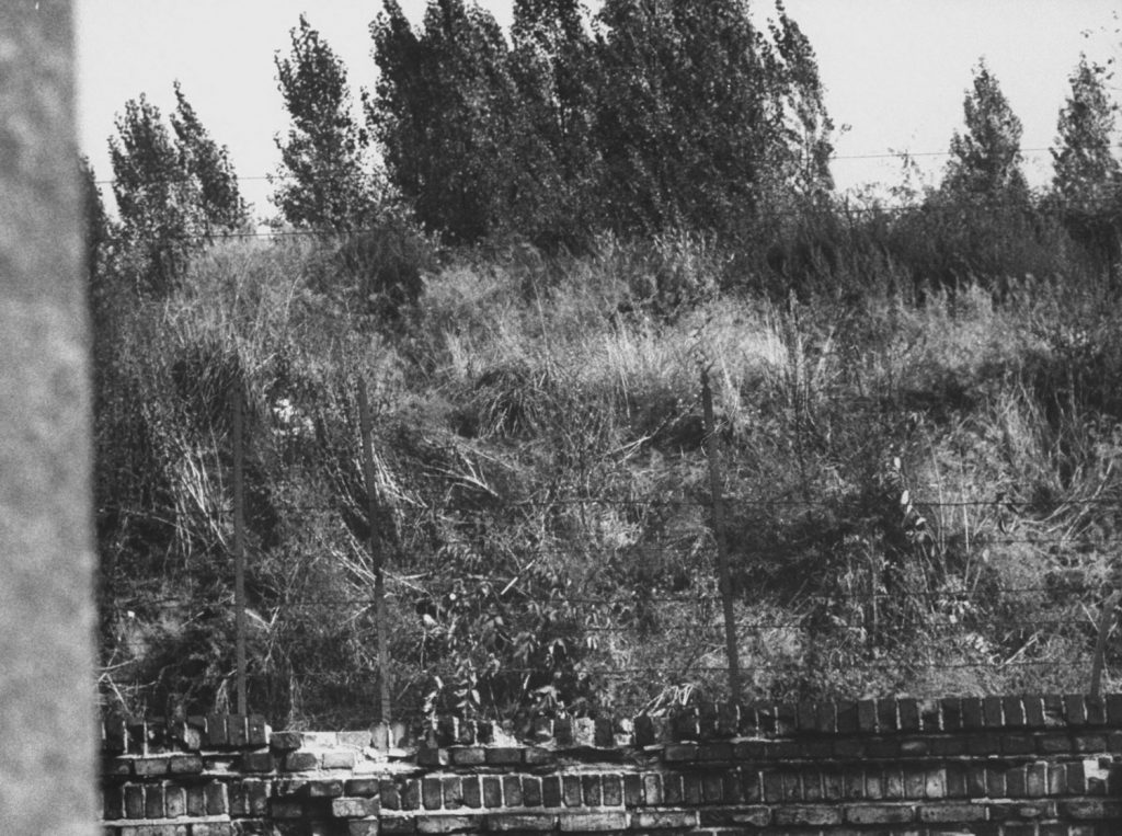 An East German teen hides in tall grass awaiting a chance to jump over the Berlin Wall