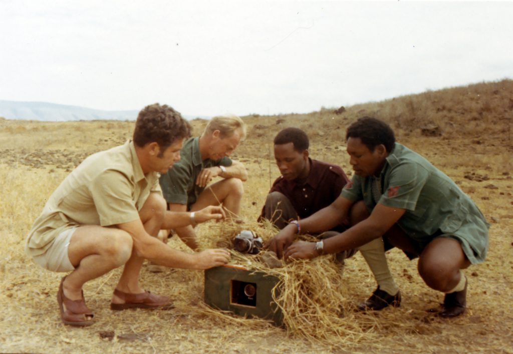 John Dominis African antelopes, 1969.