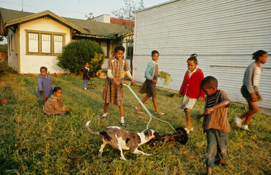 The Fire Last Time: Life in Watts, 1966