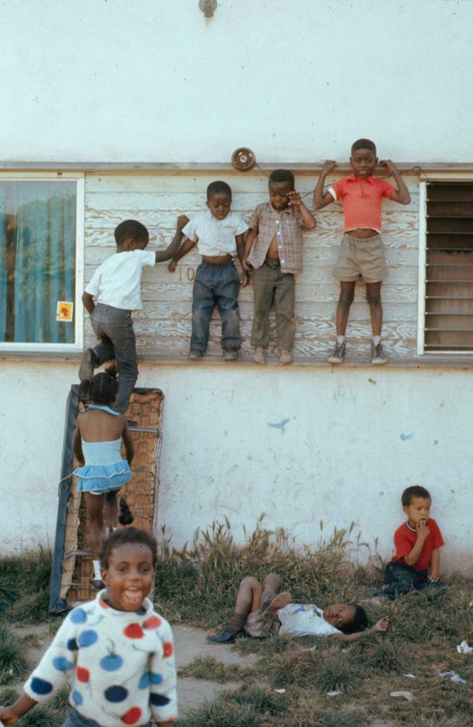 The Fire Last Time: Life in Watts, 1966